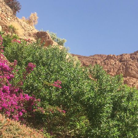 Auberge Le Festival Todra Gorge Aït Baha Exterior foto