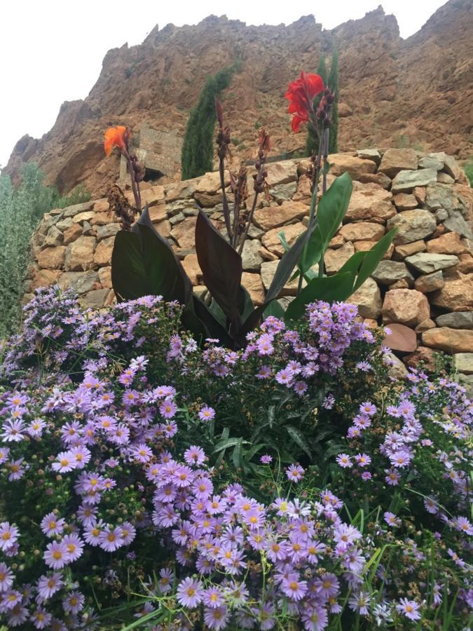 Auberge Le Festival Todra Gorge Aït Baha Exterior foto