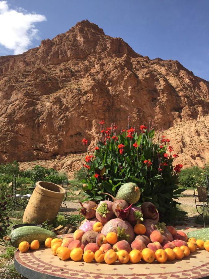 Auberge Le Festival Todra Gorge Aït Baha Exterior foto