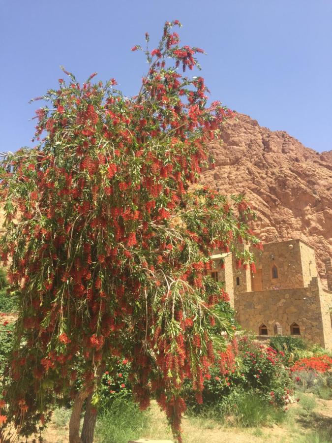 Auberge Le Festival Todra Gorge Aït Baha Exterior foto