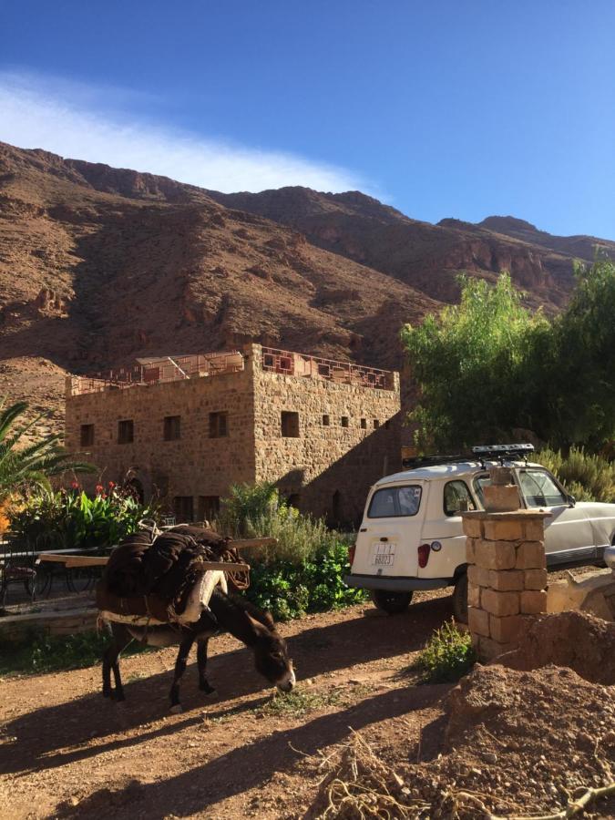 Auberge Le Festival Todra Gorge Aït Baha Exterior foto